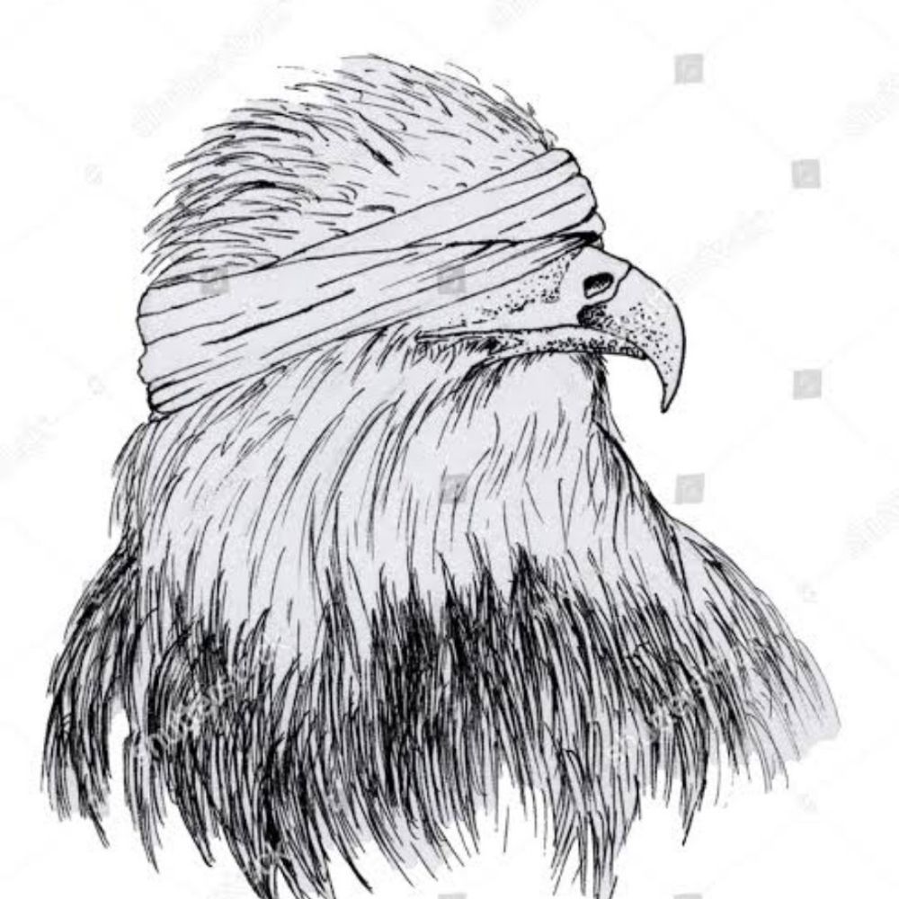 ramarover