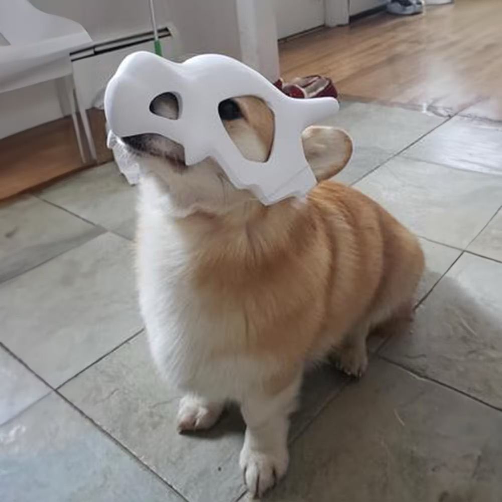 Wolfgang