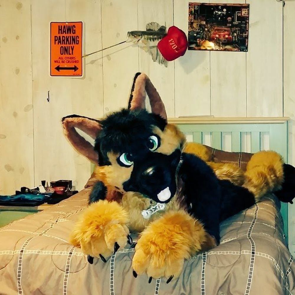 Axel Shep 