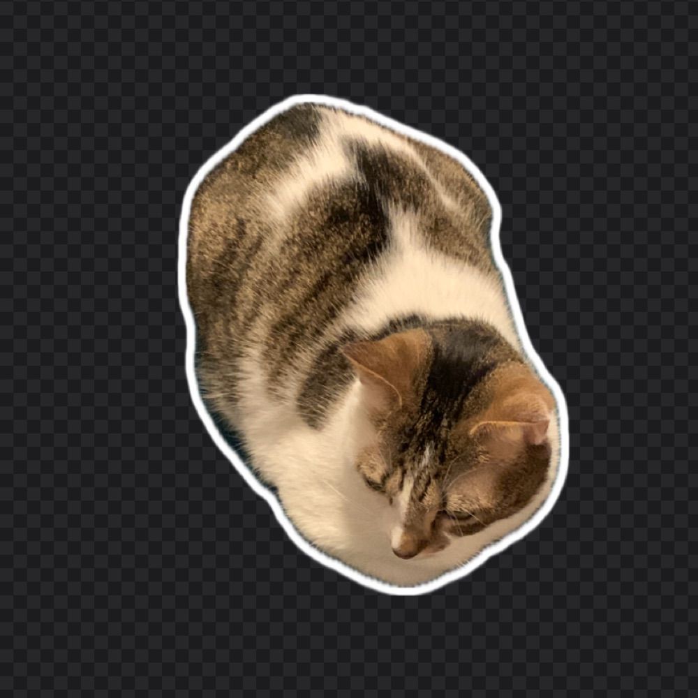 Coco Castafiore