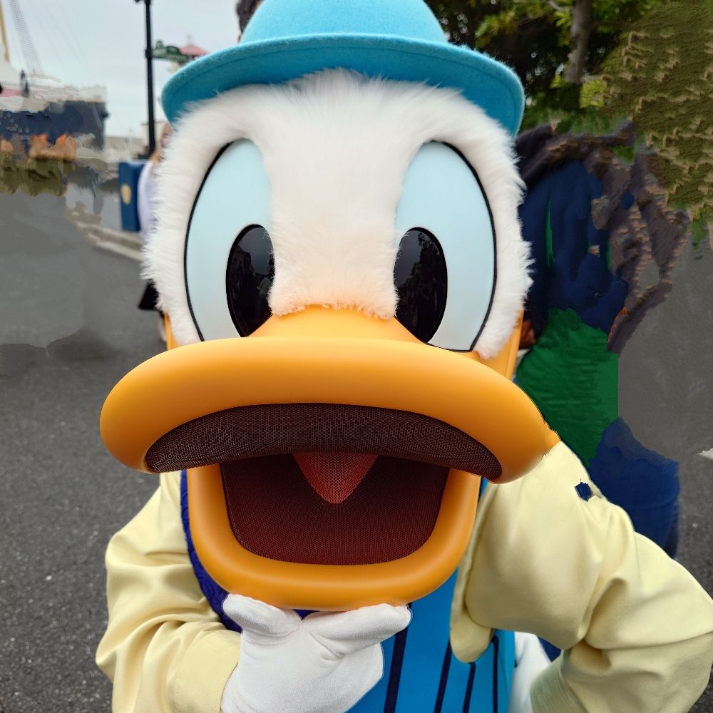 もよ