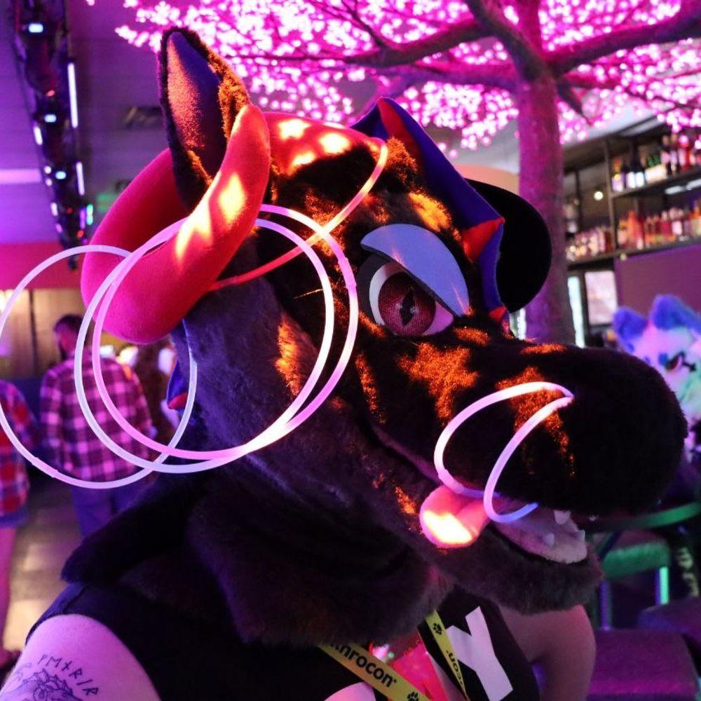 Gelly Bonkers 🔜 MFF 