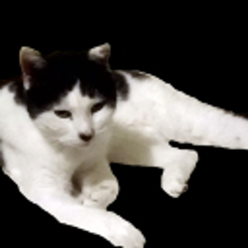 Mido Oeuf
