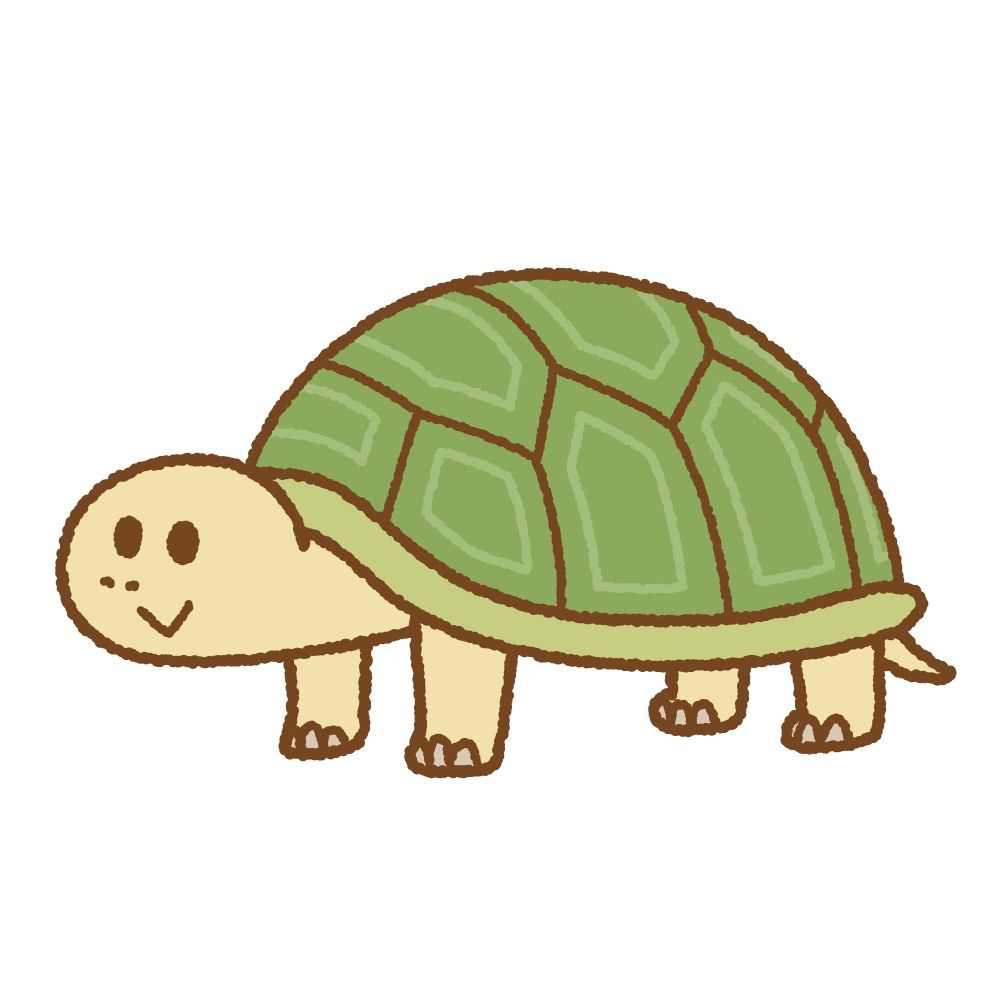 かめりあ🐢