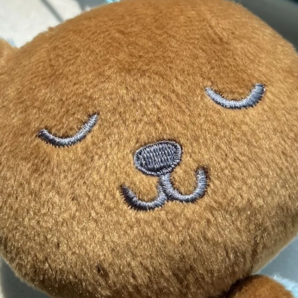 疯狂草莓龙猫