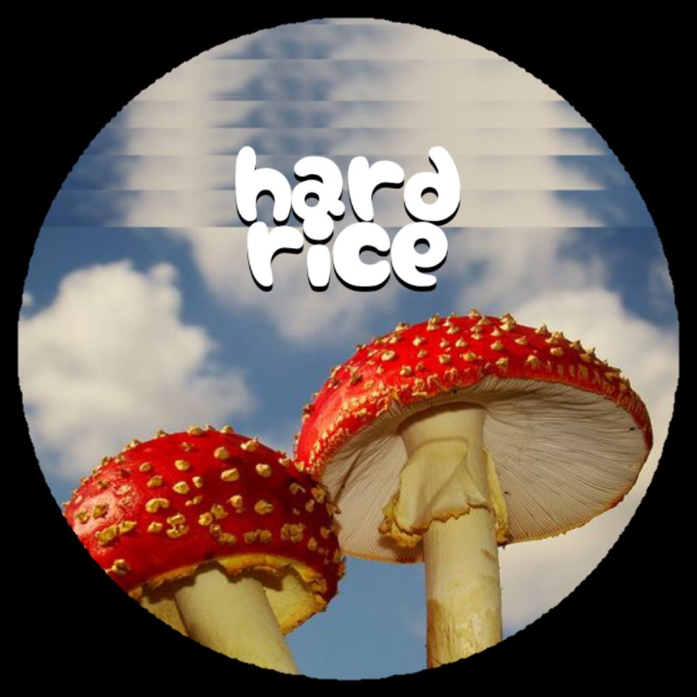 hardys