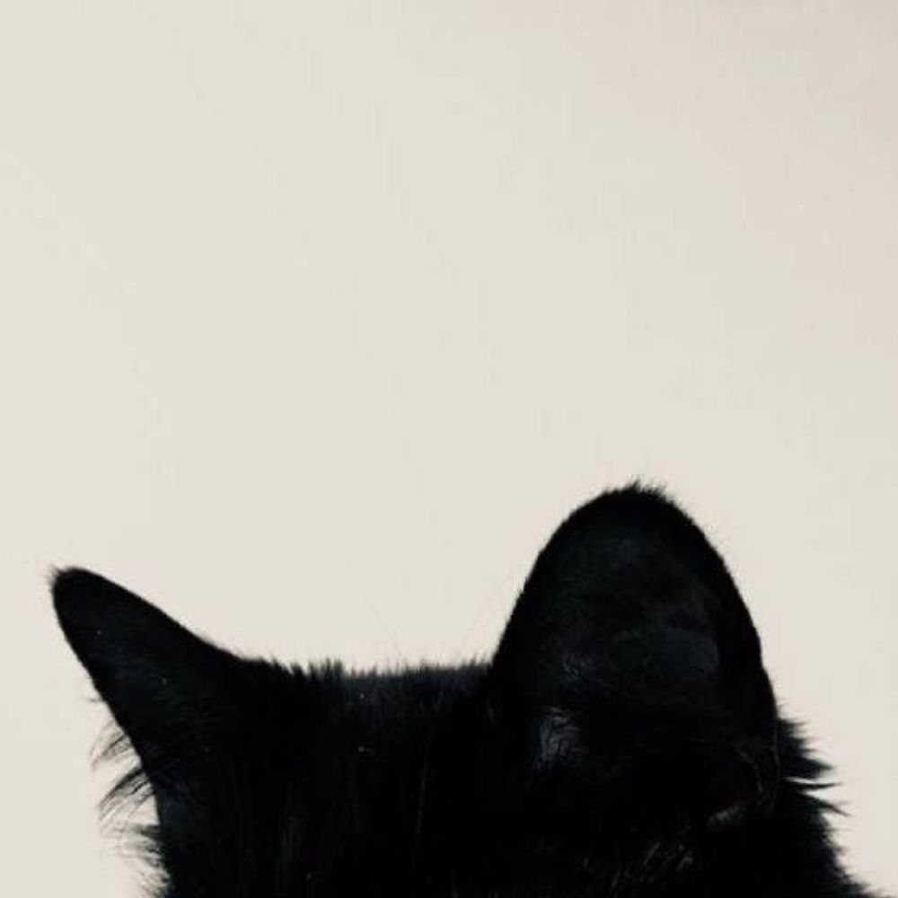 lunar