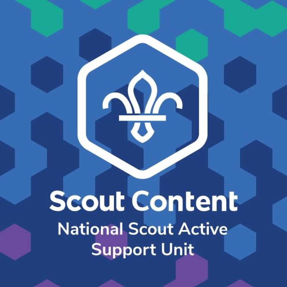 Scout Content
