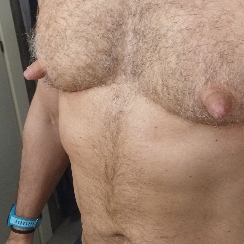 nippsplayer
