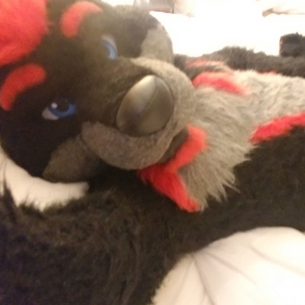 Force Wolf 🔜 MFF