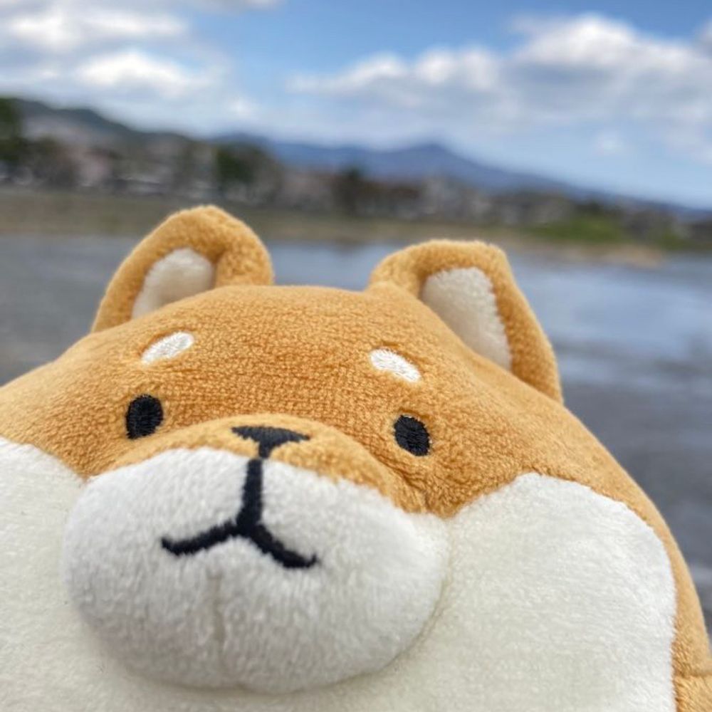 えびふらい²