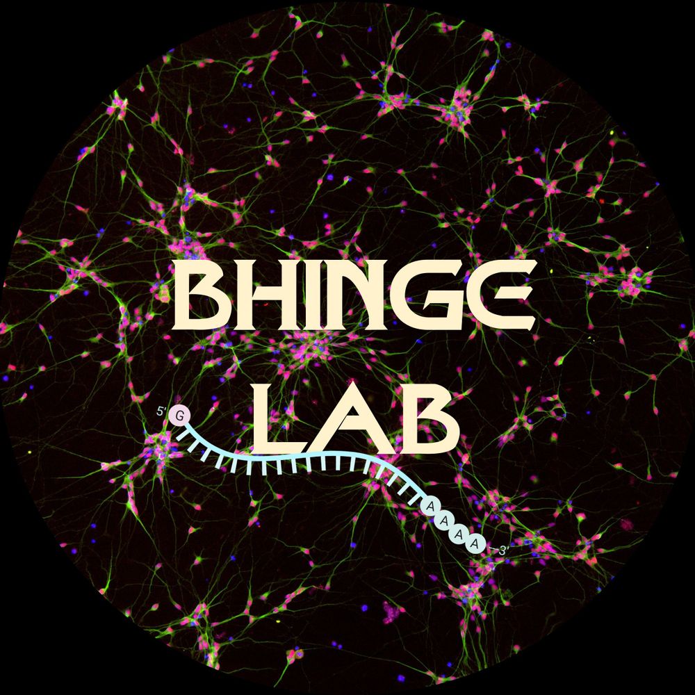 Bhinge Lab