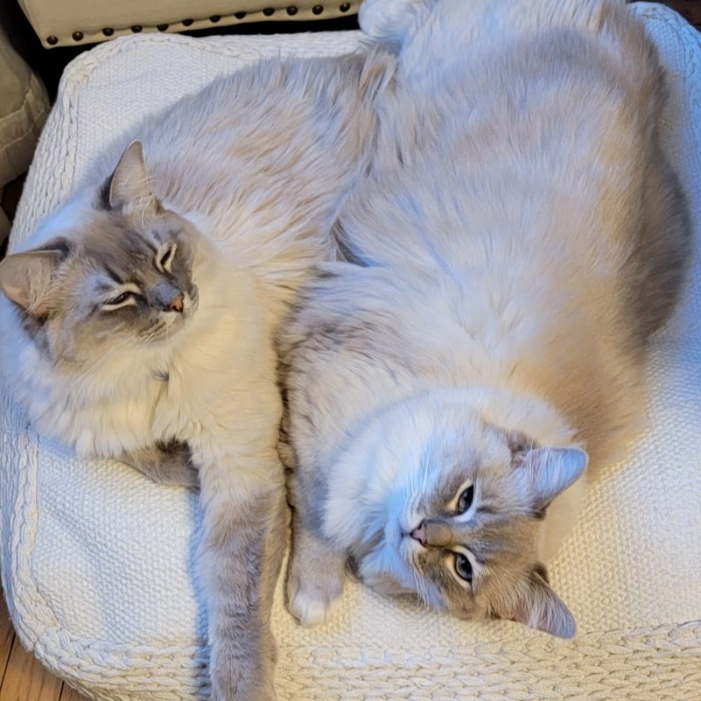 Kit