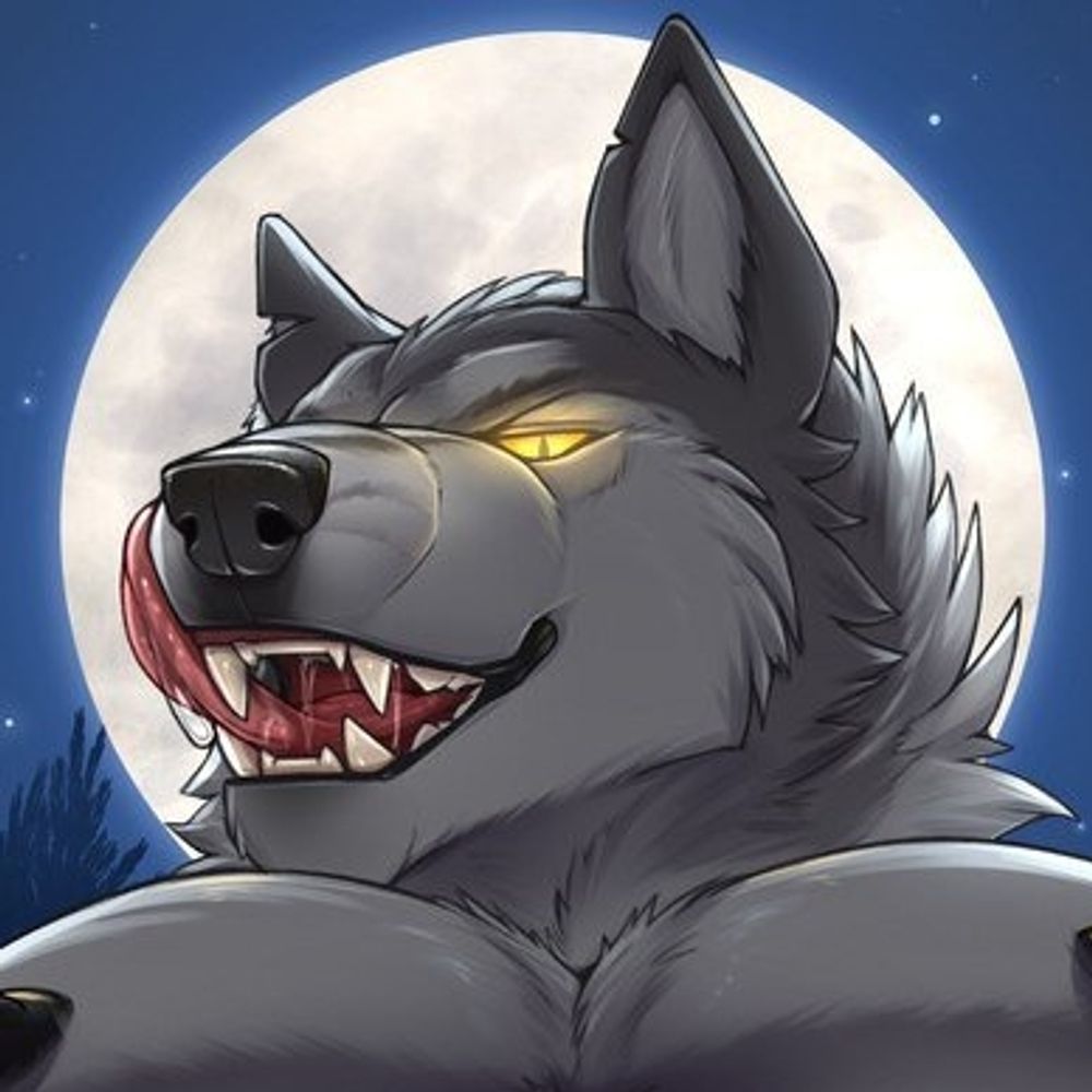 🌙Silas🌙