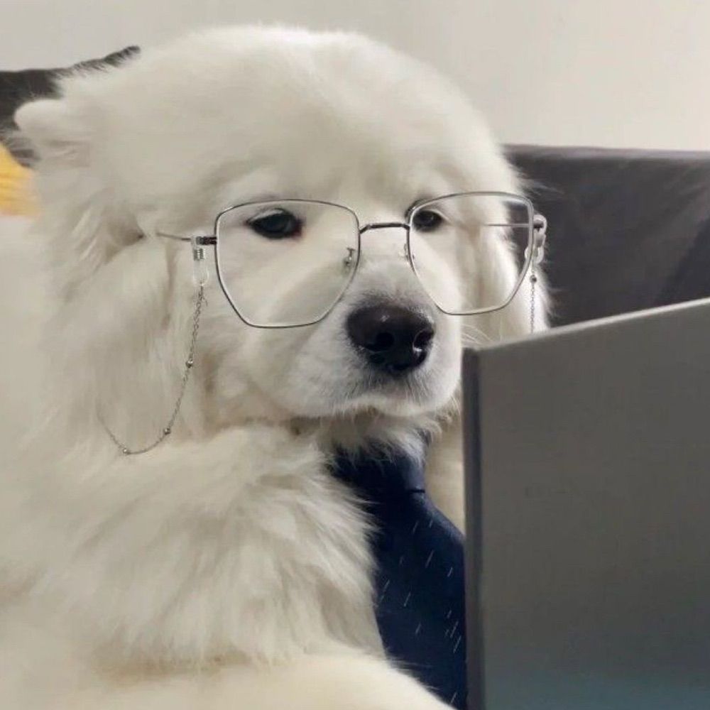 paopao -