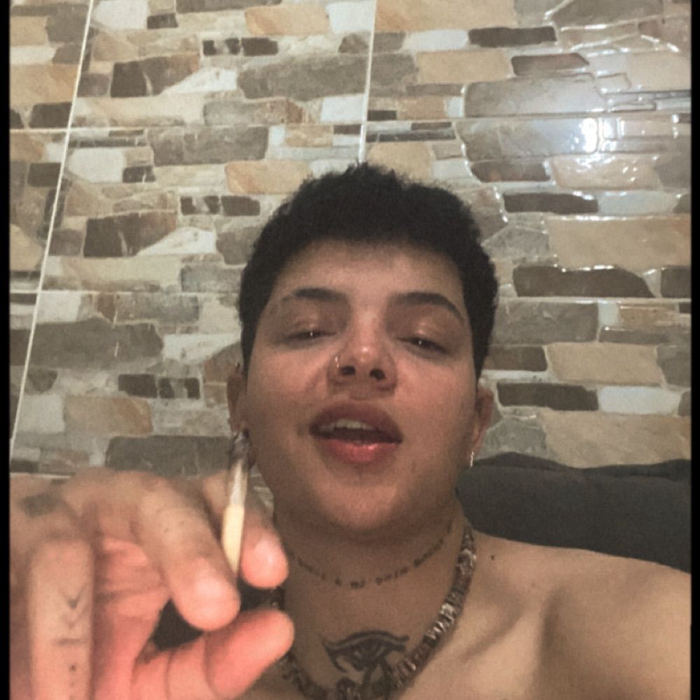 Bicho do mato 