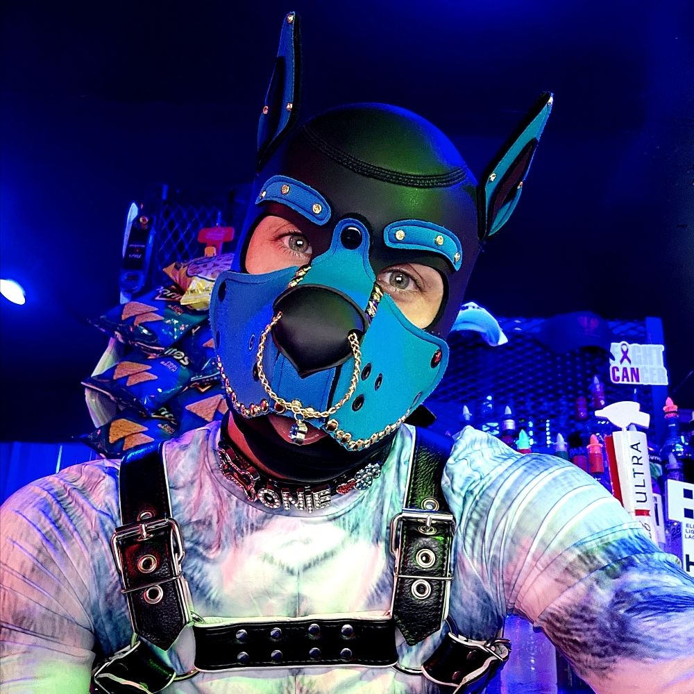 Pup Onie 🔜PAW, MIR