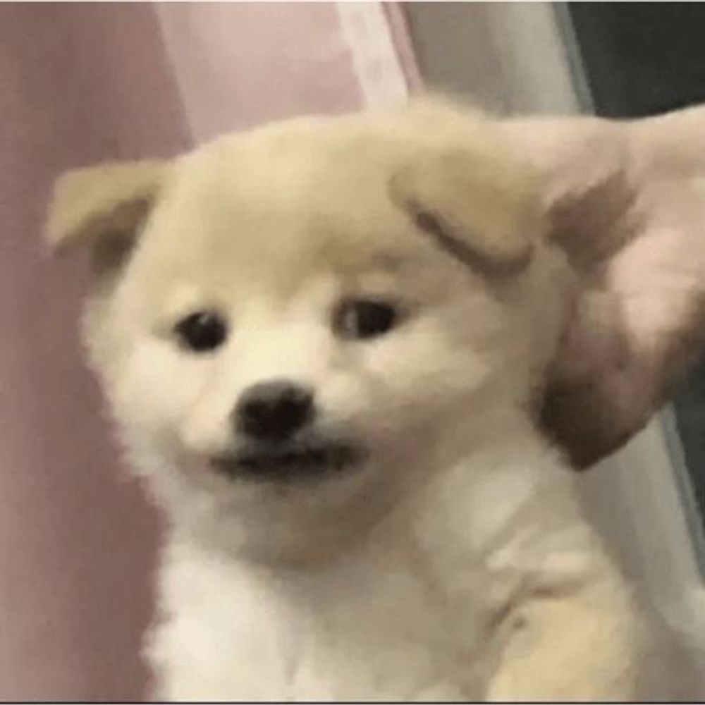 ม๋า