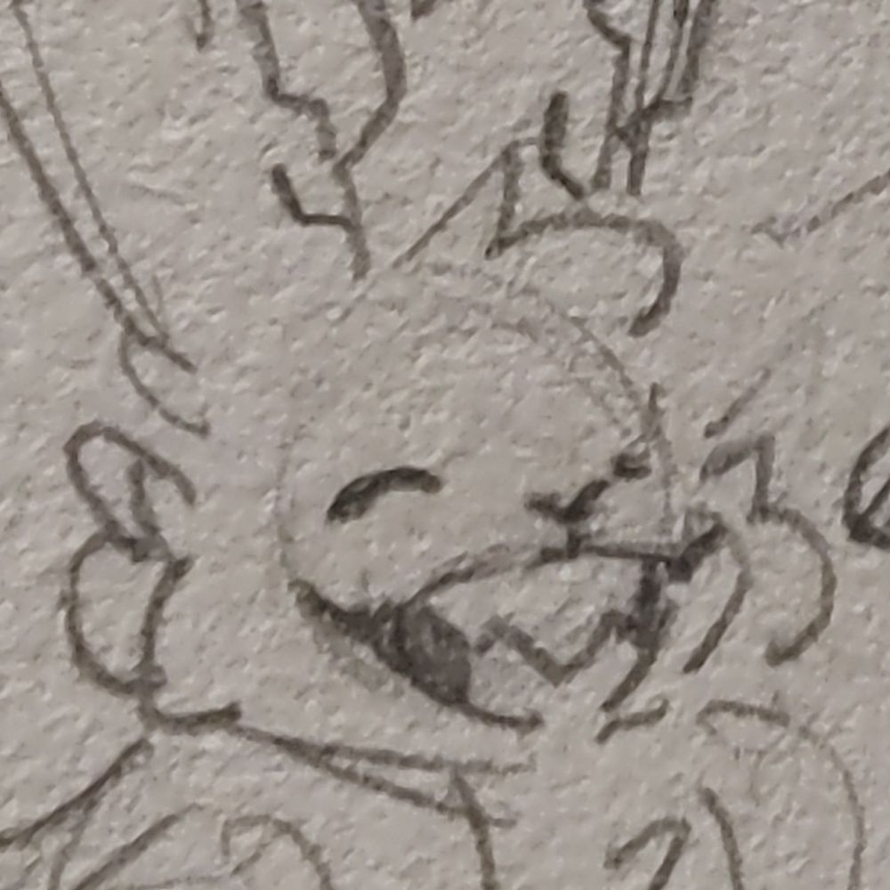 BunBoiEryz