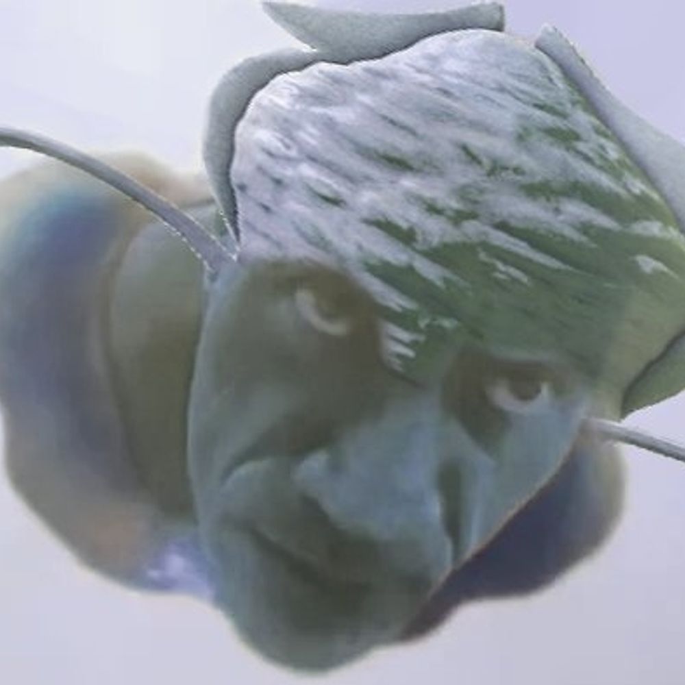 KamiKazeBadger