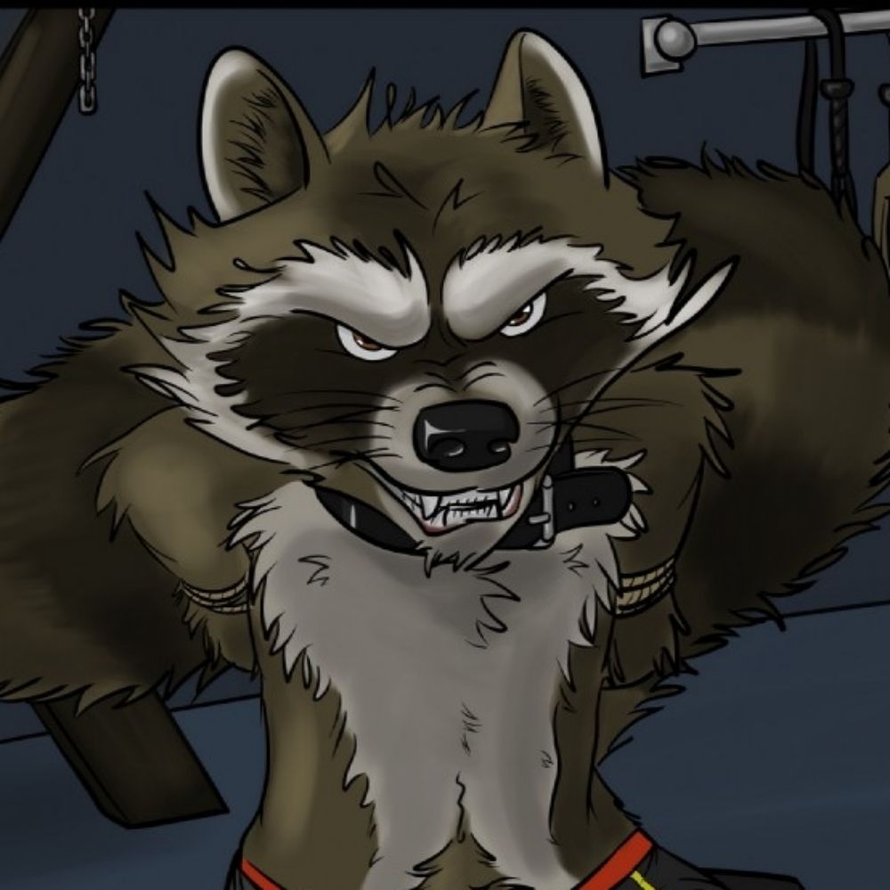 🦝🍁Guardian_Rocket🍁🦝