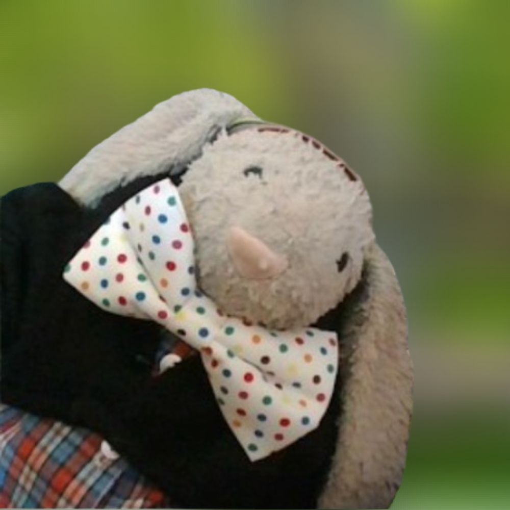 🐇RalphTheRabbit🏳‍🌈