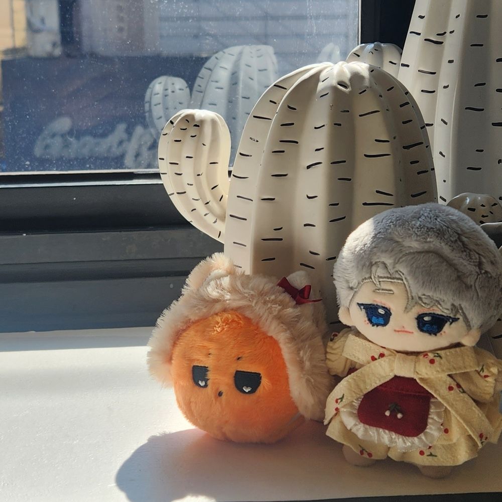 모발