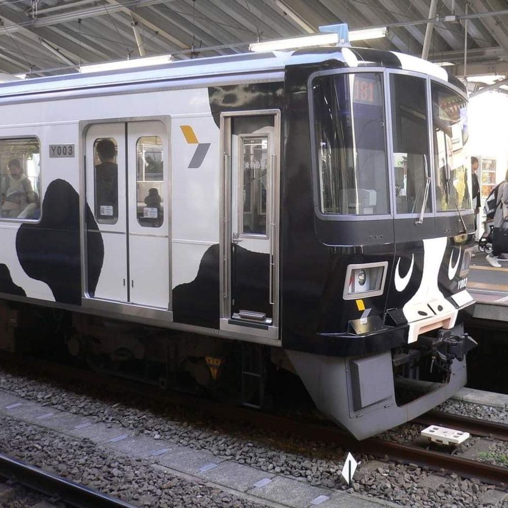さぬきぺんぎん