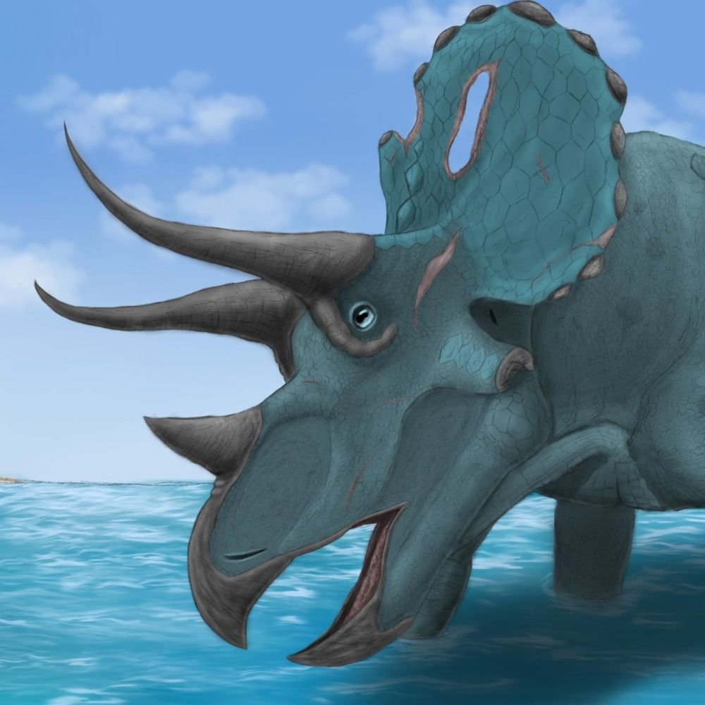 Archieceratops 😼
