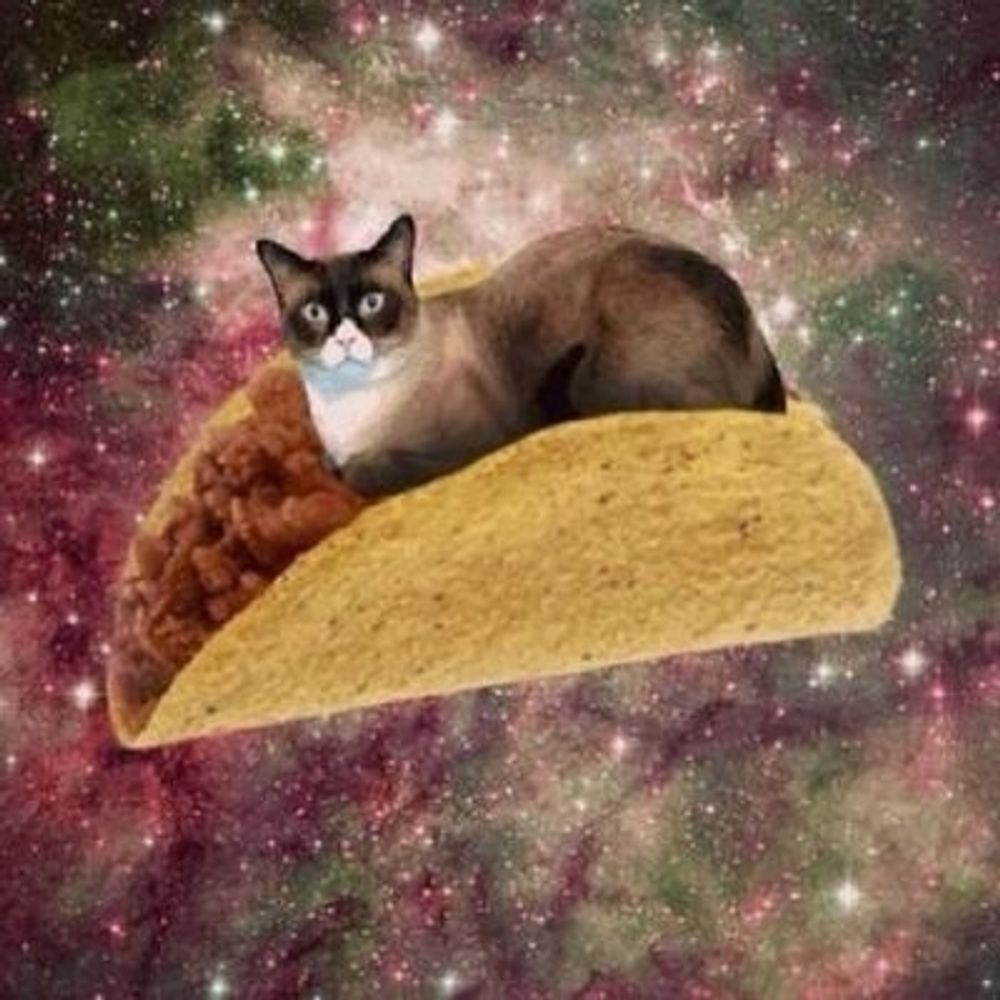 tacocat