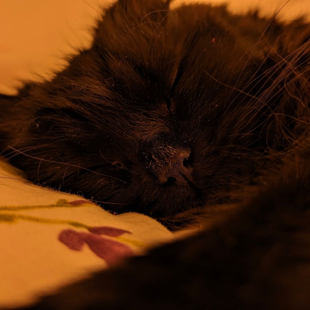 Sola