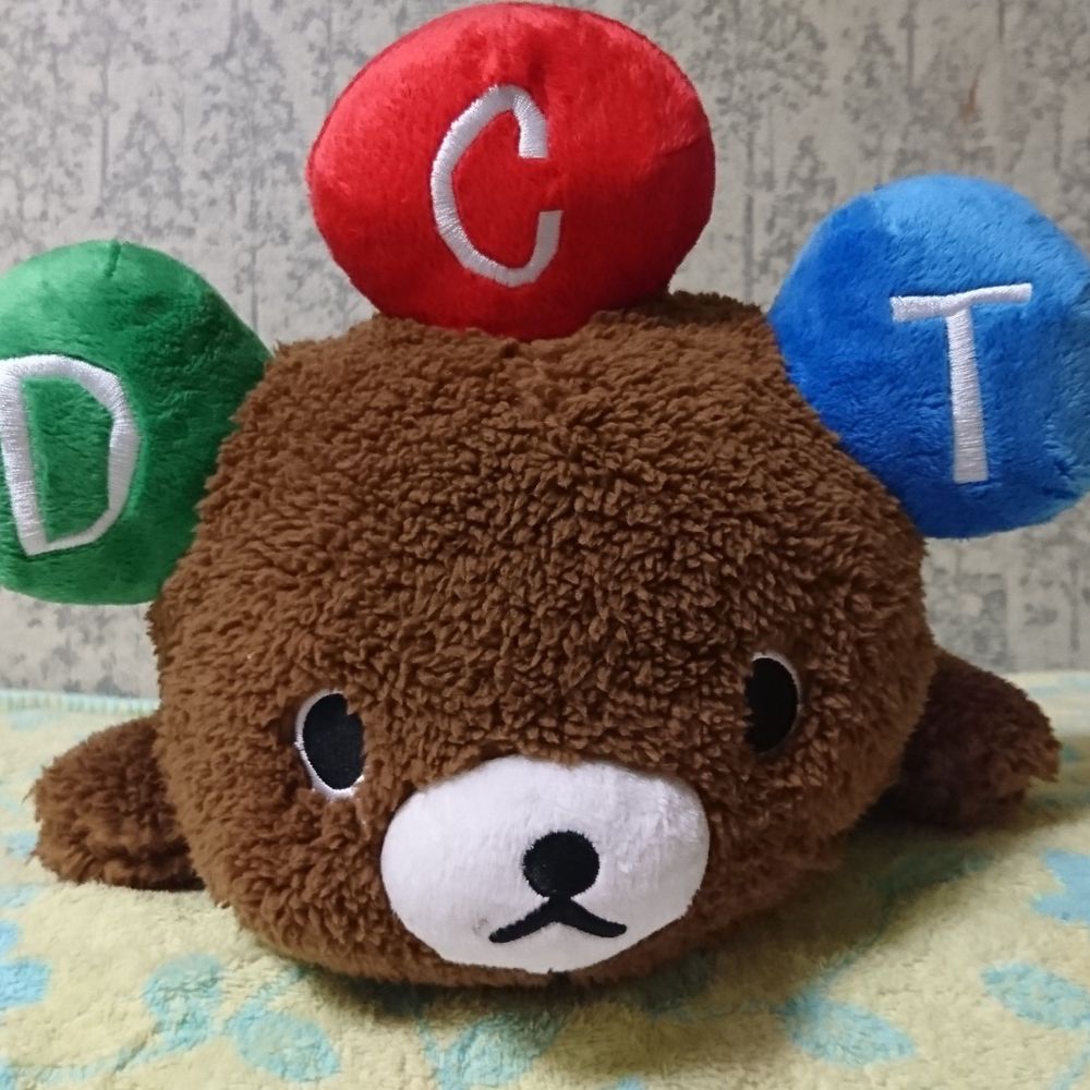 ポンチー