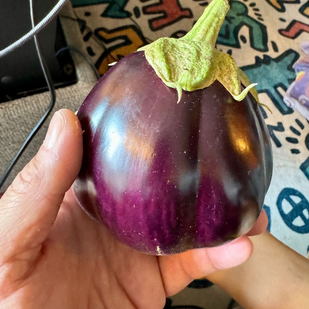 TimesSquareFarmer