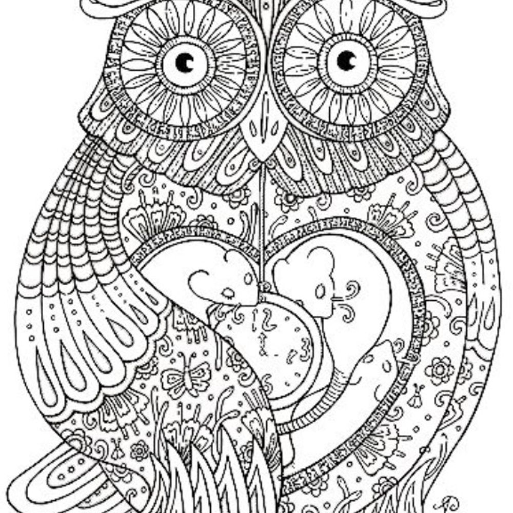 Ms P Hoot