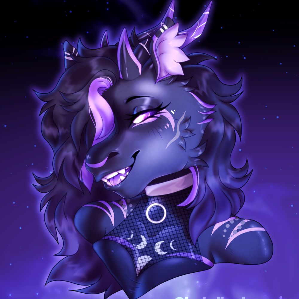 🌒🖤✨Midnight ✨🖤🌘
