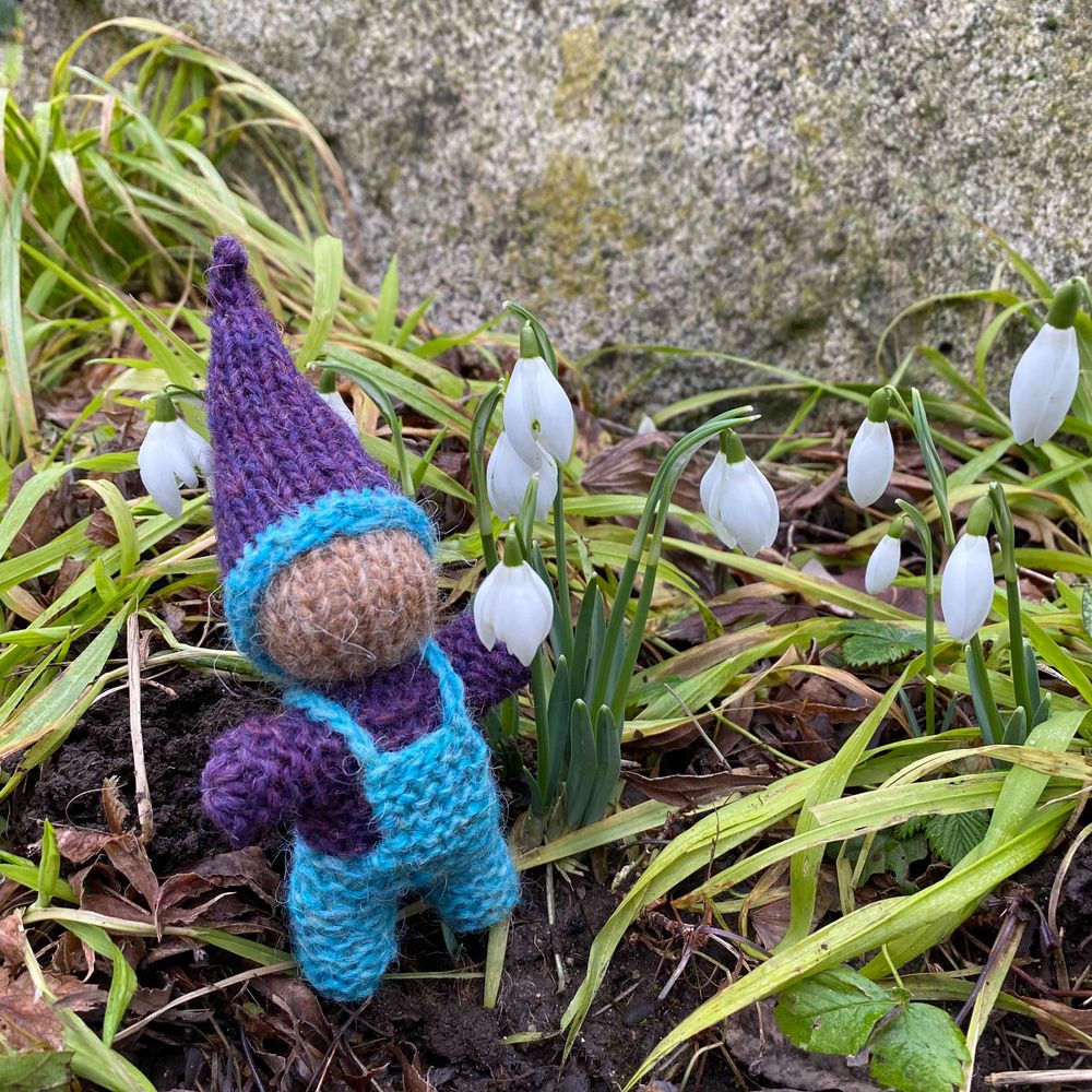 RRGnomes