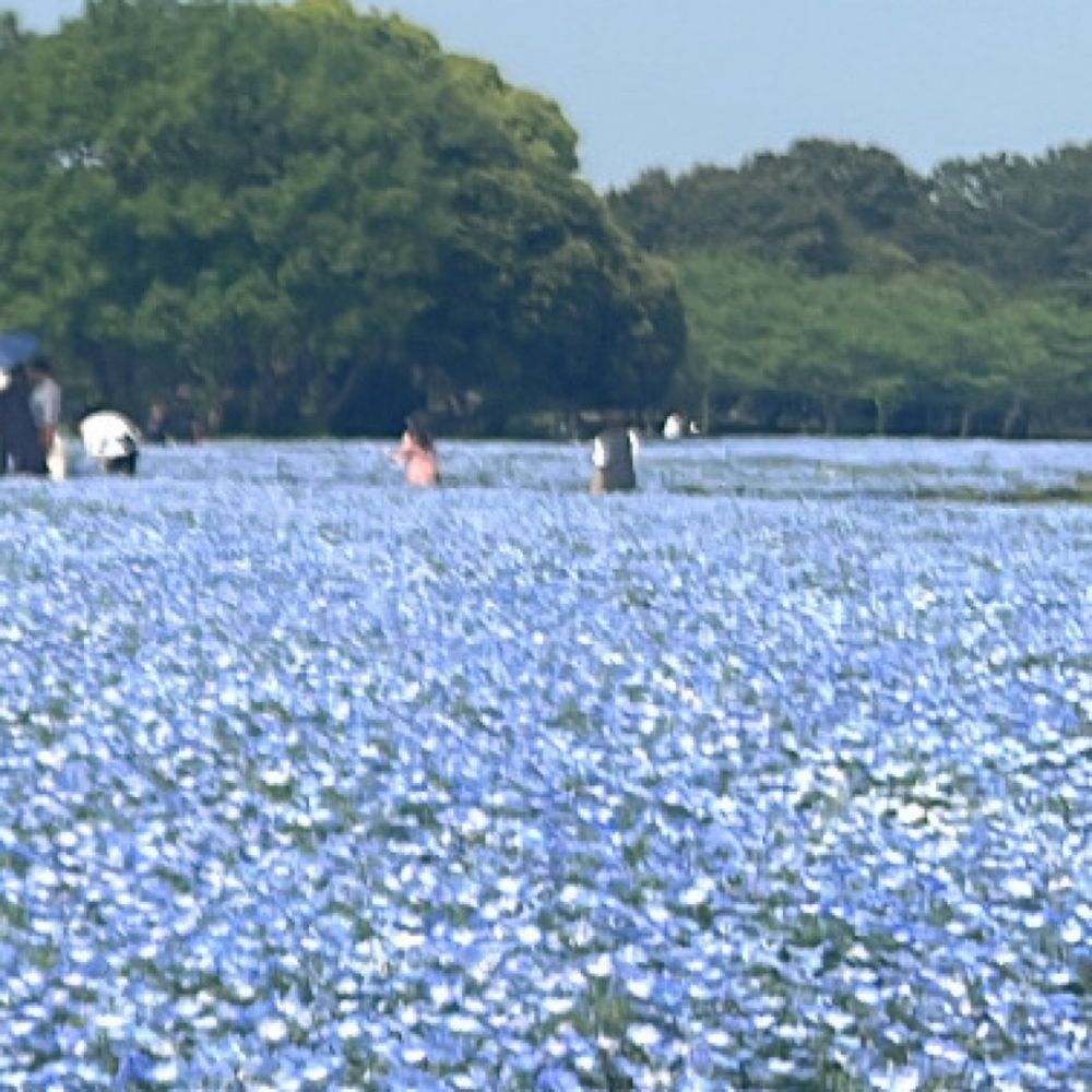  バビ