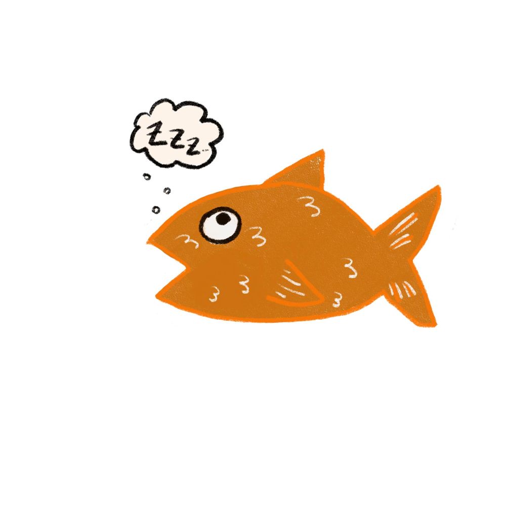 OrangeFishDreams