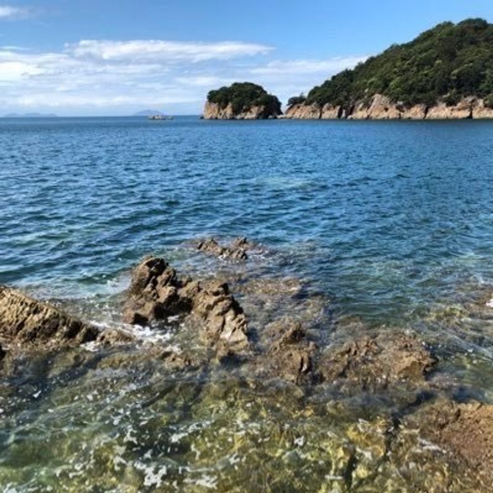 汪依