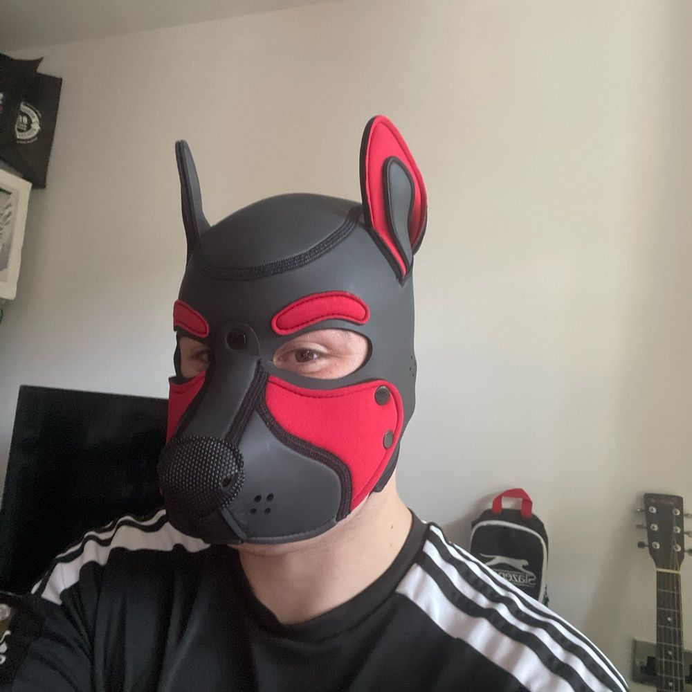 Pup Vexo