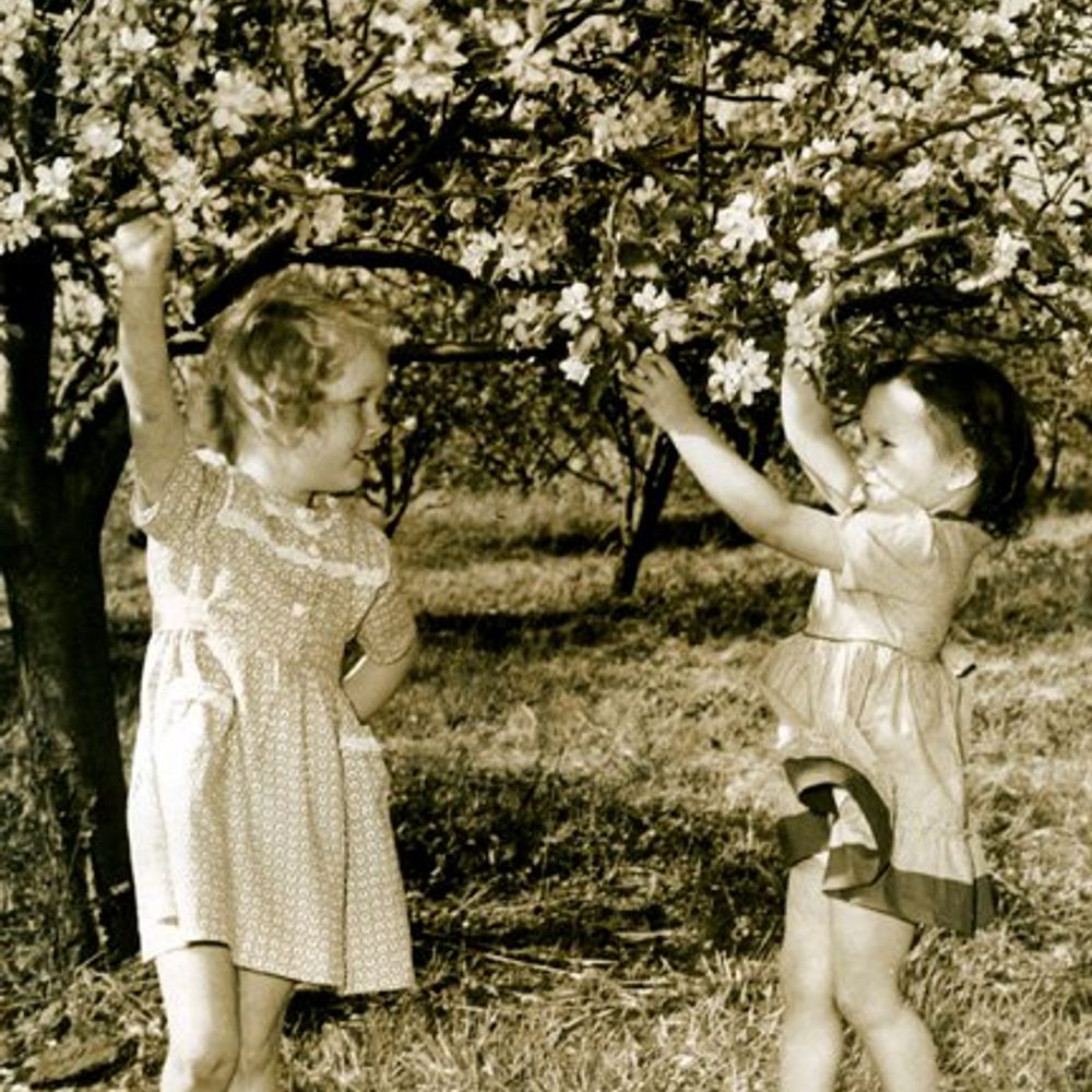 Joyce Joines Newman