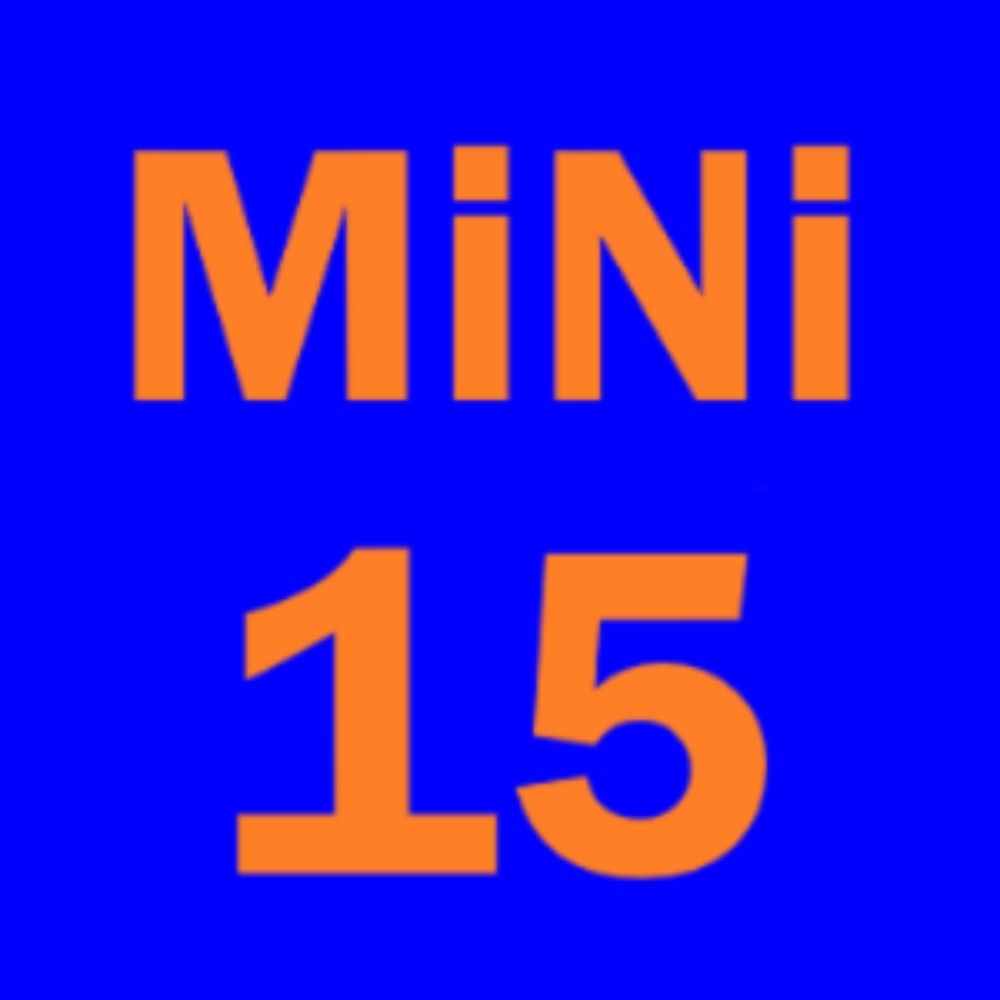 MiNiBago