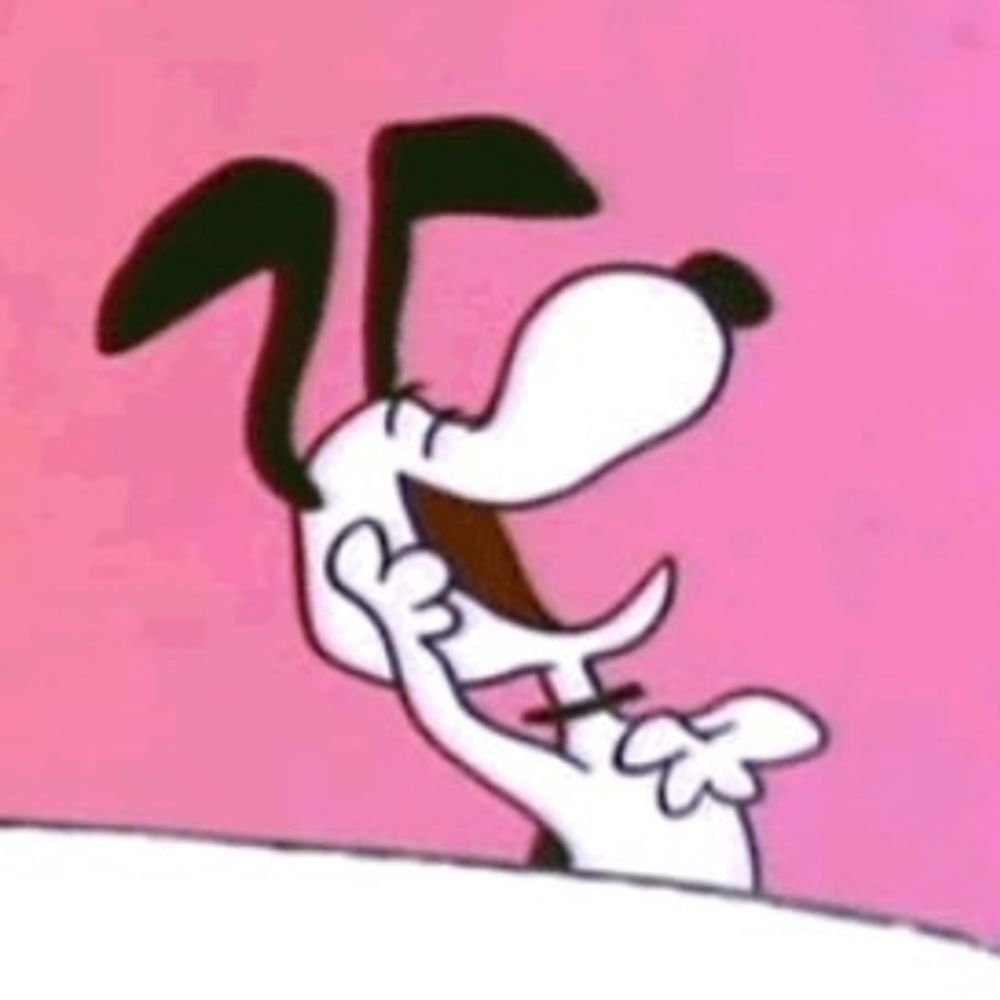 nic
