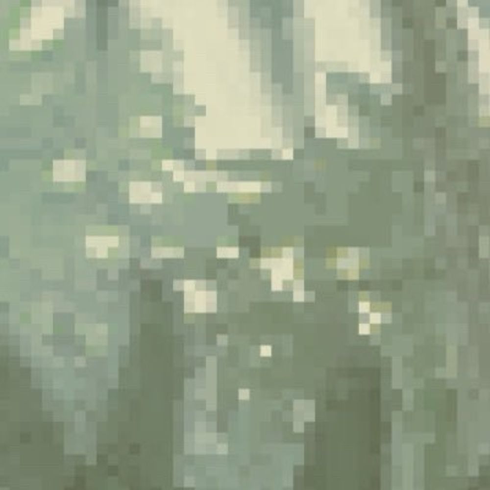 多田