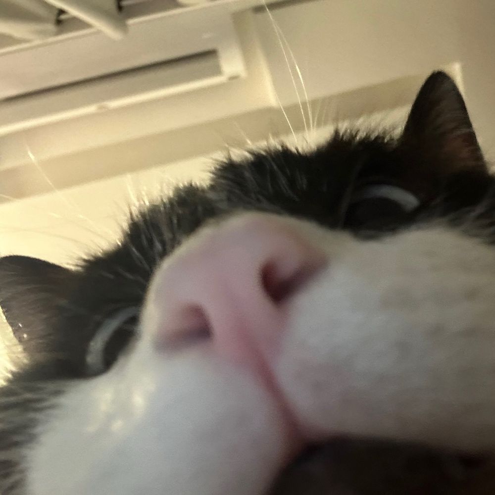 Can
