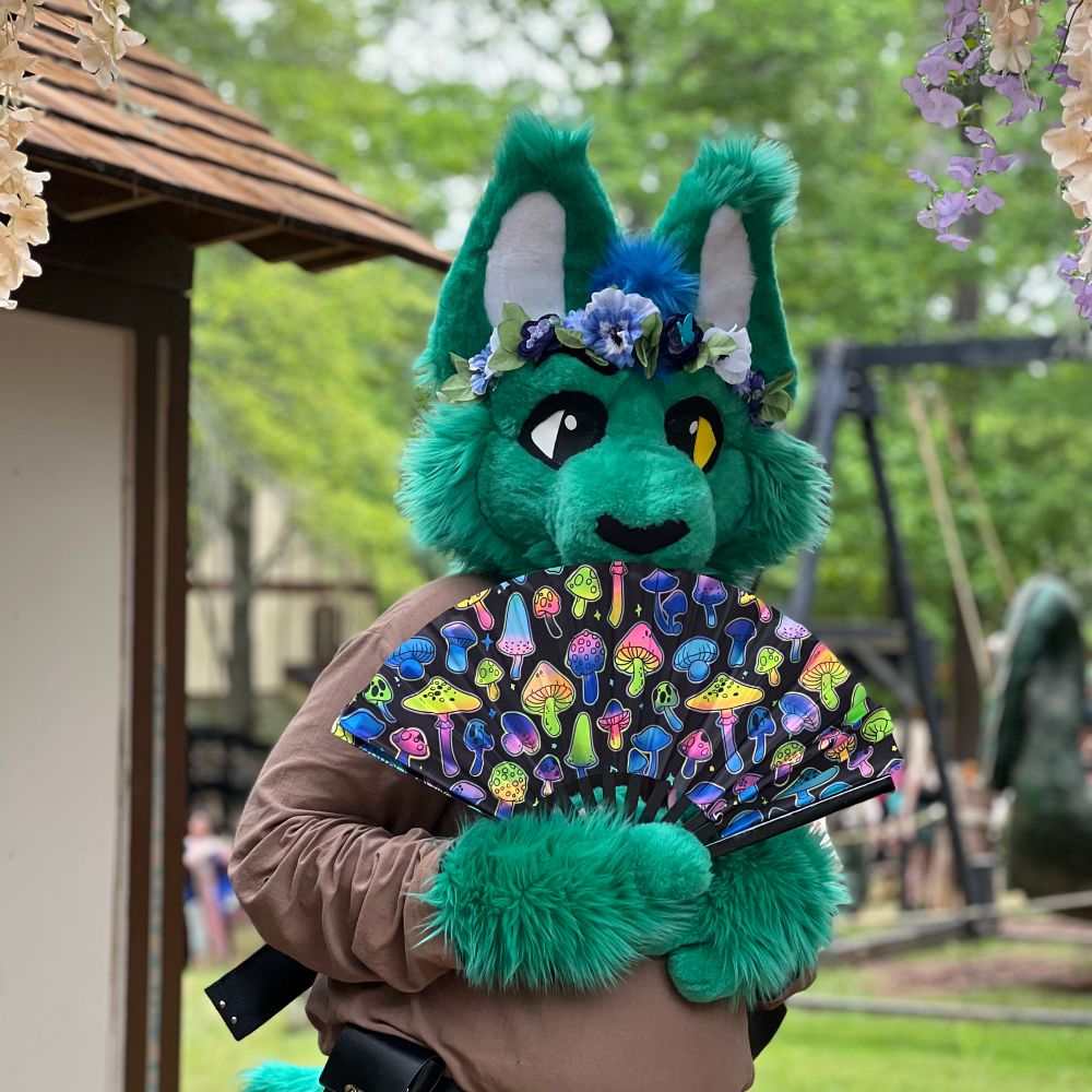 Kazee Snowe the Lynx