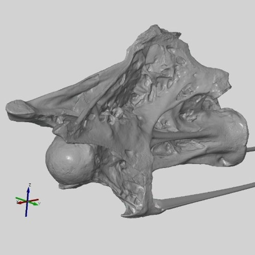 Palaeo3D