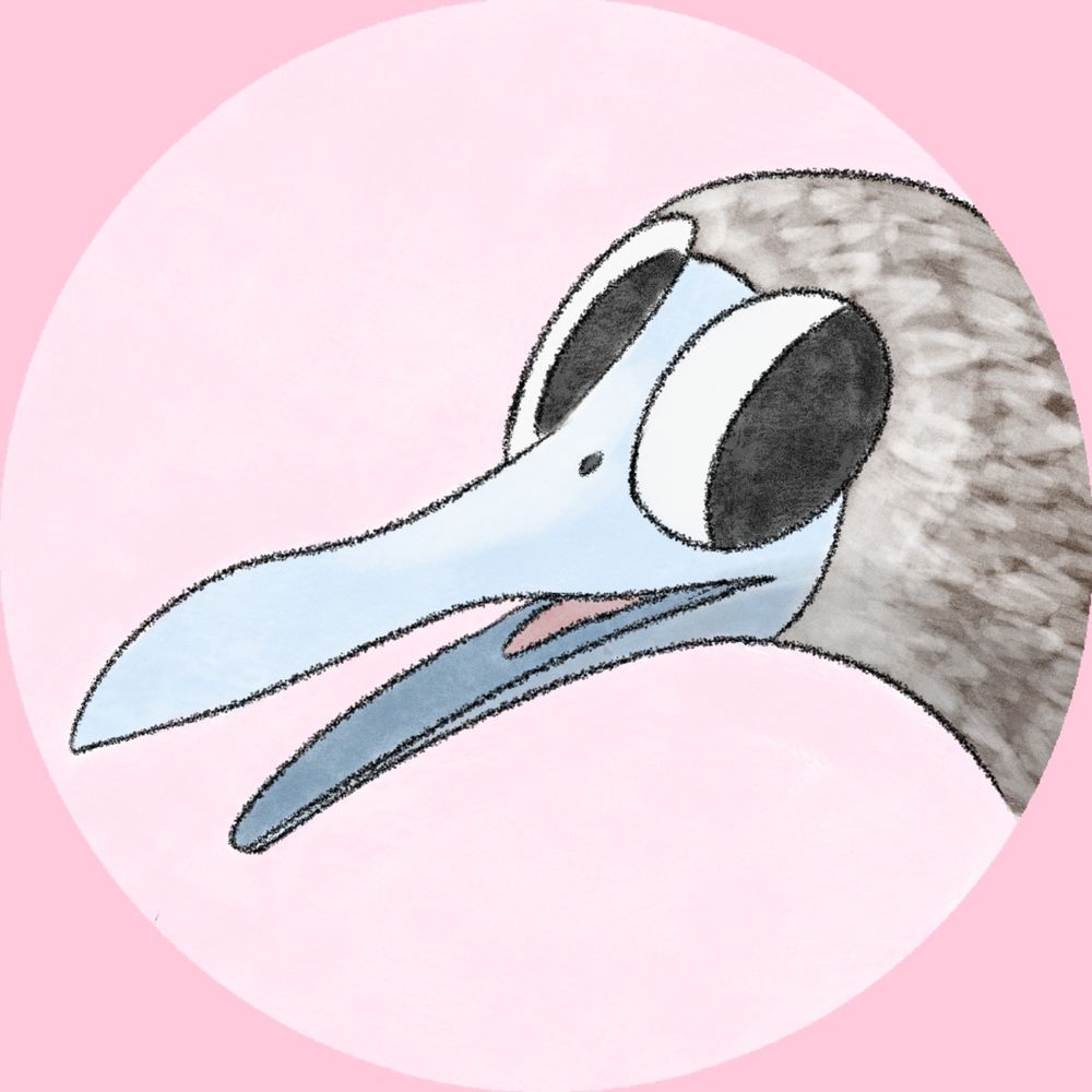 a kilogram of feathers | @SillyTinyBird