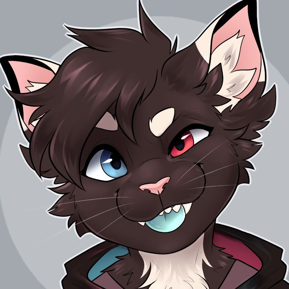 Nyon Katze