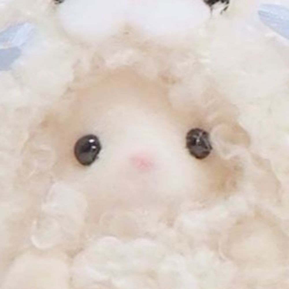 Cookei